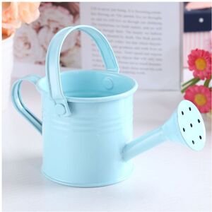 Unbranded (Light Blue) Mini Flower Kettle Water Spraying Watering Pot Garden Unbranded (Light Blue) Mini Flower Kettle Water Spraying Watering Pot Garden
