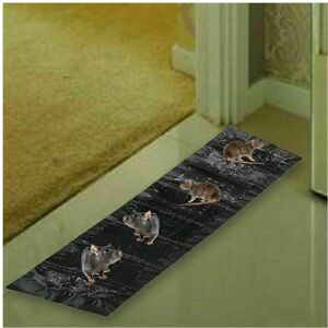 Unbranded Mice Traps Mouse Rat Trap Bug Terminator Large Size Super Rat Snake Bug Trap Unbranded Mice Traps Mouse Rat Trap Bug Terminator Large Size Super Rat Snake Bug Trap