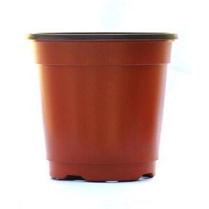 Unbranded (50pcs, 9*6*8cm) 10/50/100pcs Plastic Plants Nursery Pot Double Color Seedling H Unbranded (50pcs, 9*6*8cm) 10/50/100pcs Plastic Plants Nursery Pot Double Color Seedling H