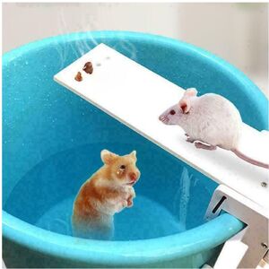 Unbranded Mouse Trap Catch Rat Trap Catch Walk The Plank Humane Bucket Mice Auto Reset New Unbranded Mouse Trap Catch Rat Trap Catch Walk The Plank Humane Bucket Mice Auto Reset New