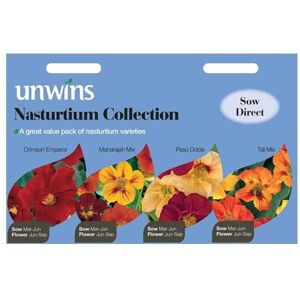 Unwins Grow Your Own Edible Nasturtium Allsorts Collection 4 in 1 Flower Seeds Unwins Grow Your Own Edible Nasturtium Allsorts Collection 4 in 1 Flower Seeds