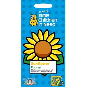 Mr Fothergill's Mr.Fothergill's BBC Children In Need Pudsey Sunflower Seeds Packet Mr Fothergill's Mr.Fothergill's BBC Children In Need Pudsey Sunflower Seeds Packet