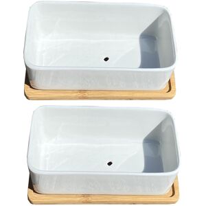 Selections White Succulent and Cactus Trough Plant Pots (Set of 2) Selections White Succulent and Cactus Trough Plant Pots (Set of 2)