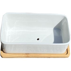 Selections White Succulent and Cactus Trough Garden Plant Pot Selections White Succulent and Cactus Trough Garden Plant Pot