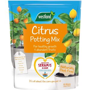 Westland Citrus Potting Mix Indoor House Plants Seramis Blend Peat Free 8L Bag Westland Citrus Potting Mix Indoor House Plants Seramis Blend Peat Free 8L Bag