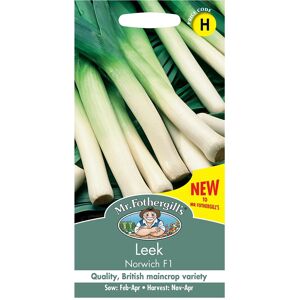 Leek Seeds Grow Your Own Garden Vegetables Norwich F1 Mr Fothergill's Leek Seeds Grow Your Own Garden Vegetables Norwich F1 Mr Fothergill's
