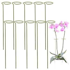 Odoxia 10 Pack Plant Supports for Garden Help Your Flowers Grow Plant Support Sticks fo Odoxia 10 Pack Plant Supports for Garden Help Your Flowers Grow Plant Support Sticks fo