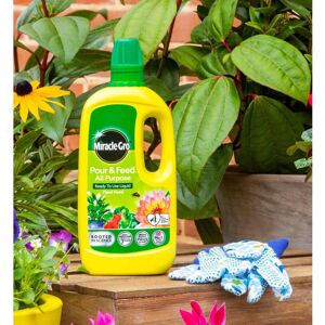 Miracle-Gro Pour and Feed All Purpose Liquid Plant Food Ready to go 1L Miracle-Gro Pour and Feed All Purpose Liquid Plant Food Ready to go 1L