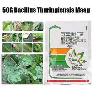 Unbranded 3packs 50g Bacillus Thuringiensis Vegetable Fruit Tree Biopesticide Insecticide Unbranded 3packs 50g Bacillus Thuringiensis Vegetable Fruit Tree Biopesticide Insecticide