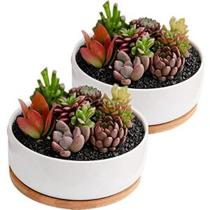 disdain Plant Flower Pots Indoor, 2-pack Set Ceramic Flower Pots Planter, white Ceramic disdain Plant Flower Pots Indoor, 2-pack Set Ceramic Flower Pots Planter, white Ceramic