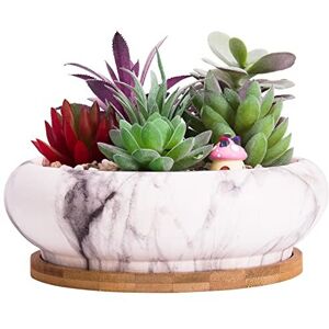 ARTKETTY Succulent Plant Pots, 18.5 CM Large Bonsai Pots with Drainage Tray, Marble Shall ARTKETTY Succulent Plant Pots, 18.5 CM Large Bonsai Pots with Drainage Tray, Marble Shall
