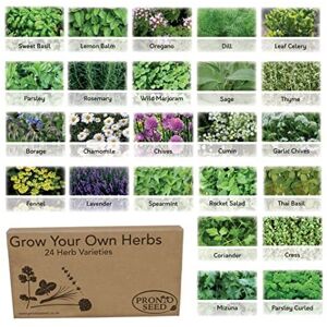 Pronto Seed Herb Seeds Grow Your Own Kit Gardening Gift for Women and Men Bumper Pack (24 He Pronto Seed Herb Seeds Grow Your Own Kit Gardening Gift for Women and Men Bumper Pack (24 He