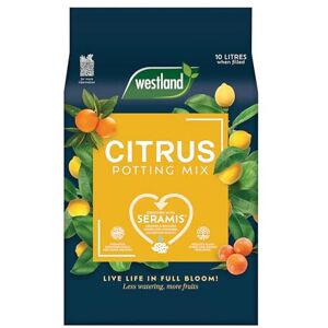 Westland Citrus Potting Mix 10L Brown - Seramis water-management granules, Perli Westland Citrus Potting Mix 10L Brown - Seramis water-management granules, Perli