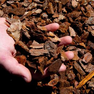 BHomeScent Premium Orchid Care Repotting Bark Soil Compost Mix (2L) BHomeScent Premium Orchid Care Repotting Bark Soil Compost Mix (2L)