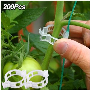Unbranded 200pcs Plastic Plant Support Clips Reusable Garden Vegetable Tomato Vines Uprigh Unbranded 200pcs Plastic Plant Support Clips Reusable Garden Vegetable Tomato Vines Uprigh