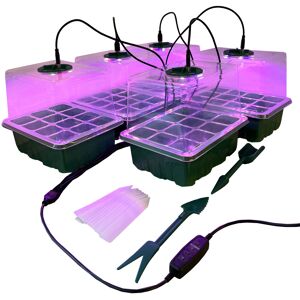 Selections Plant Propagator 12 Cell Seed Tray Set with USB Grow Lights Pack of 5 Selections Plant Propagator 12 Cell Seed Tray Set with USB Grow Lights Pack of 5