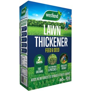 Westland Lawn Thickener 80m2 Box, Brown Westland Lawn Thickener 80m2 Box, Brown