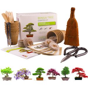 GARDEN COLISEUM Bonsai Tree KIT - Grow Your OWN Bonsai Trees from Seeds - Gardening Gift Set - P GARDEN COLISEUM Bonsai Tree KIT - Grow Your OWN Bonsai Trees from Seeds - Gardening Gift Set - P