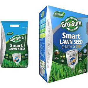 Westland Gro-Sure Aqua Gel Coated Smart Grass Lawn Seed, 80 m2, 3.2 kg, Blue,Green & 2050 Westland Gro-Sure Aqua Gel Coated Smart Grass Lawn Seed, 80 m2, 3.2 kg, Blue,Green & 2050