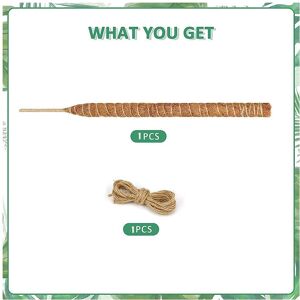 Unbranded (120cm/47.24in) Moss Indoor Pole Support Climbing Totem Plants Houseplants Garde Unbranded (120cm/47.24in) Moss Indoor Pole Support Climbing Totem Plants Houseplants Garde