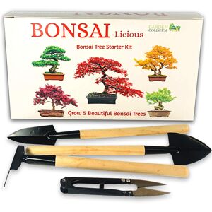 GARDEN COLISEUM Bonsai Tree Kit - Grow Your Own Bonsai Trees. Gardening Gift Set. Bonus Bonsai M GARDEN COLISEUM Bonsai Tree Kit - Grow Your Own Bonsai Trees. Gardening Gift Set. Bonus Bonsai M