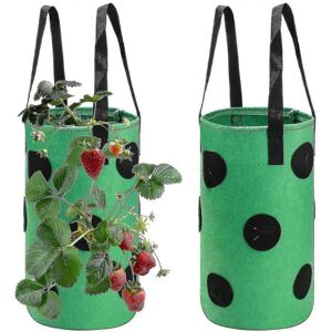 Unbranded 2pcs Strawberry Grow Bags 3 Gallon, Grow Pouches Plant Growing Hanger Bag Unbranded 2pcs Strawberry Grow Bags 3 Gallon, Grow Pouches Plant Growing Hanger Bag
