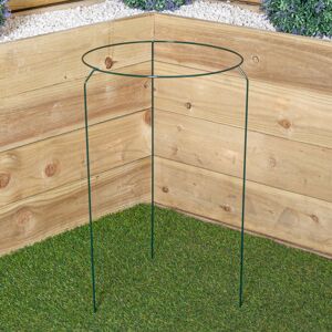 Samuel Alexander Tom Chambers Urban Metal Herbaceous Garden Plant Support Ring Large 40cm x 60cm Samuel Alexander Tom Chambers Urban Metal Herbaceous Garden Plant Support Ring Large 40cm x 60cm