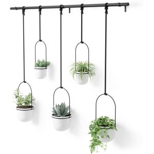 Umbra Hanging Planter, for Succulents, Herbs and Other Small Plants, Polypropyle Umbra Hanging Planter, for Succulents, Herbs and Other Small Plants, Polypropyle