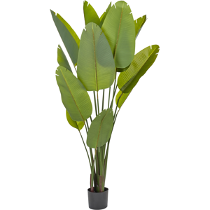 Beliani Artificial Plant BANANA TREE 187 cm Green Beliani Artificial Plant BANANA TREE 187 cm Green