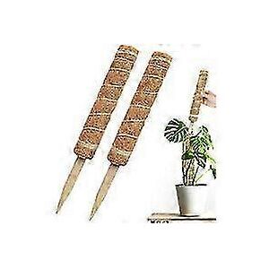 Unbranded Set of 2 plant supports, coconut fiber stakes, coconut fiber posts, for climbing Unbranded Set of 2 plant supports, coconut fiber stakes, coconut fiber posts, for climbing