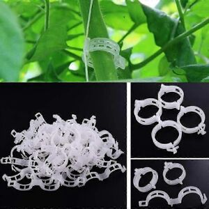 Unbranded Pack of 100 clips for tomato trellises and vegetable gardens Unbranded Pack of 100 clips for tomato trellises and vegetable gardens