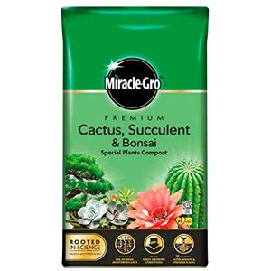 Miracle-Gro Premium Cactus, Succulent & Bonsai Compost 6L Easy Carry Pack Miracle-Gro Premium Cactus, Succulent & Bonsai Compost 6L Easy Carry Pack