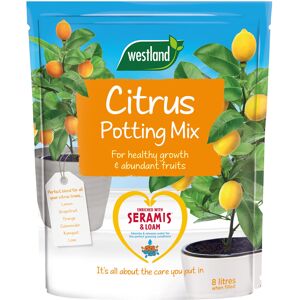 Westland Potting Compost Mix and Enriched with Seramis, Brown, 8 Litre Westland Potting Compost Mix and Enriched with Seramis, Brown, 8 Litre