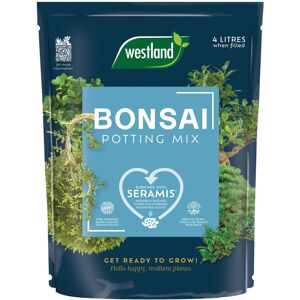 Westland Bonsai Potting Mix 4L Westland Bonsai Potting Mix 4L