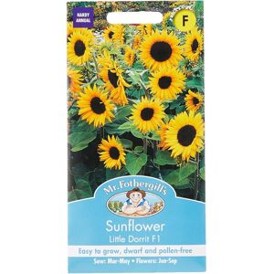 Mr Fothergill's 24272 Flower Seeds, Sunflower Little Dorrit F1, Yellow Mr Fothergill's 24272 Flower Seeds, Sunflower Little Dorrit F1, Yellow