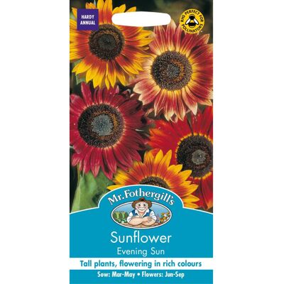 Mr Fothergill's Mr Fothergills - Pictorial Packet - Flower - Sunflower Evening Sun - 50 Seeds Mr Fothergill's Mr Fothergills - Pictorial Packet - Flower - Sunflower Evening Sun - 50 Seeds