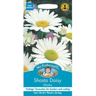 Mr Fothergill's Mr Fothergills - Pictorial Packet - Flower - Shasta Daisy Alaska Shasta - 750 S Mr Fothergill's Mr Fothergills - Pictorial Packet - Flower - Shasta Daisy Alaska Shasta - 750 S