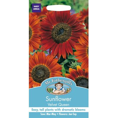 Mr Fothergill's Mr Fothergills - Pictorial Packet - Flower - Sunflower Velvet Queen - 30 Seeds Mr Fothergill's Mr Fothergills - Pictorial Packet - Flower - Sunflower Velvet Queen - 30 Seeds