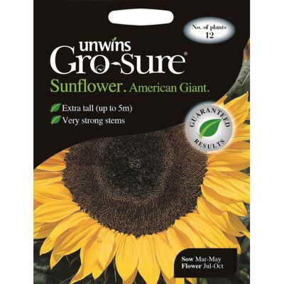 Unwins Grow Your Own American Giant F1 Sunflower Flower Seeds Unwins Grow Your Own American Giant F1 Sunflower Flower Seeds