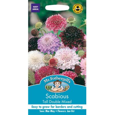 Mr Fothergill's Mr Fothergills - Pictorial Packet - Flower - Scabious Tall Double Mixed - 50 See Mr Fothergill's Mr Fothergills - Pictorial Packet - Flower - Scabious Tall Double Mixed - 50 See