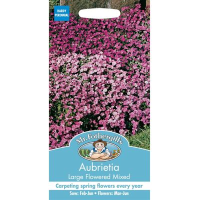 Mr Fothergill's Mr Fothergills - Pictorial Packet - Flower - Aubrietia Large Flowered Mixed - 40 Mr Fothergill's Mr Fothergills - Pictorial Packet - Flower - Aubrietia Large Flowered Mixed - 40