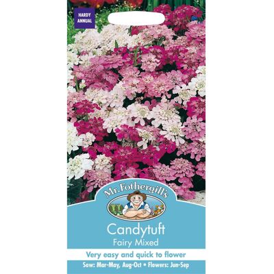 Mr Fothergill's Mr Fothergills - Pictorial Packet - Flower - Candytuft Fairy Mixed - 500 Seeds Mr Fothergill's Mr Fothergills - Pictorial Packet - Flower - Candytuft Fairy Mixed - 500 Seeds