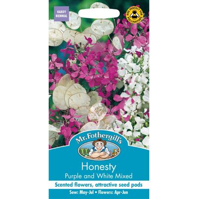 Mr Fothergill's Mr Fothergills - Pictorial Packet - Flower - Honesty Purple and White Mixed - 50 Mr Fothergill's Mr Fothergills - Pictorial Packet - Flower - Honesty Purple and White Mixed - 50