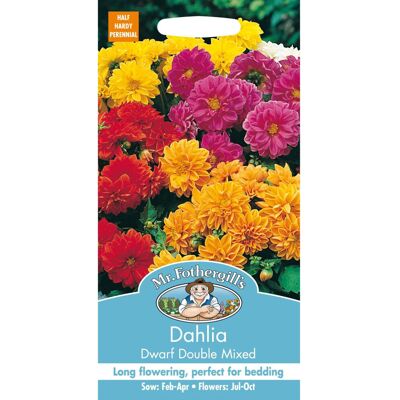 Mr Fothergill's Mr Fothergills - Pictorial Packet - Flower - Dahlia Dwarf Double Mixed - 50 Seed Mr Fothergill's Mr Fothergills - Pictorial Packet - Flower - Dahlia Dwarf Double Mixed - 50 Seed