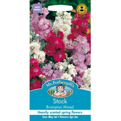 Mr Fothergill's Mr Fothergills - Pictorial Packet - Flower - Stock Brompton Mixed - 150 Seeds Mr Fothergill's Mr Fothergills - Pictorial Packet - Flower - Stock Brompton Mixed - 150 Seeds