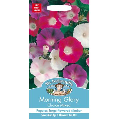 Mr Fothergill's Mr Fothergills - Pictorial Packet - Flower - Morning Glory Choice Mixed - 50 See Mr Fothergill's Mr Fothergills - Pictorial Packet - Flower - Morning Glory Choice Mixed - 50 See