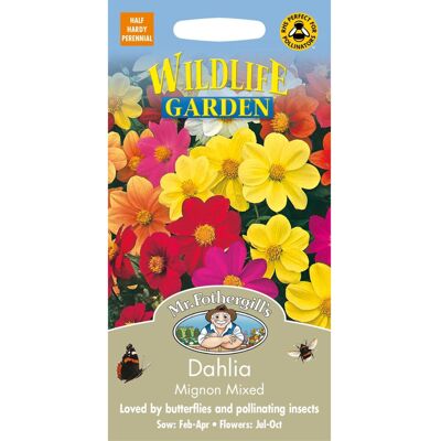 Mr Fothergill's Mr Fothergills - Pictorial Packet - Flower - Dahlia Mignon Mixed - 50 Seeds Mr Fothergill's Mr Fothergills - Pictorial Packet - Flower - Dahlia Mignon Mixed - 50 Seeds