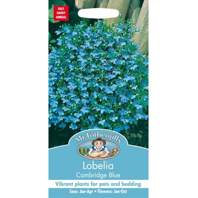 Mr Fothergill's Mr Fothergills - Pictorial Packet - Flower - Lobelia Cambridge Blue - 2500 Seeds Mr Fothergill's Mr Fothergills - Pictorial Packet - Flower - Lobelia Cambridge Blue - 2500 Seeds
