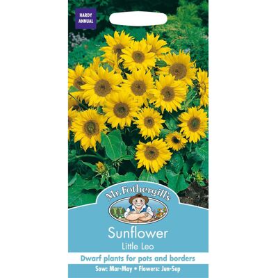 Mr Fothergill's Mr Fothergills - Pictorial Packet - Flower - Sunflower Little Leo - 25 Seeds Mr Fothergill's Mr Fothergills - Pictorial Packet - Flower - Sunflower Little Leo - 25 Seeds