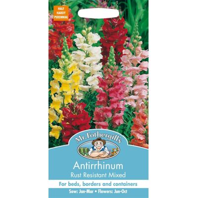 Mr Fothergill's Mr Fothergills - Pictorial Packet - Flower - Antirrhinum Rust Resistant Mixed - Mr Fothergill's Mr Fothergills - Pictorial Packet - Flower - Antirrhinum Rust Resistant Mixed -